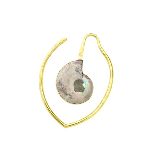 Drop Ammonite Fossil Teardrop Ear Weights Online now - Image 3