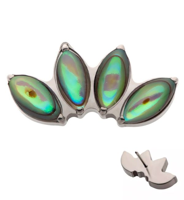 Quartet Abalone Shell Threadless Titanium Top Cheap