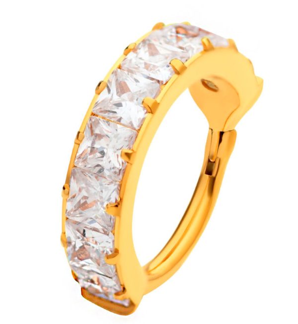 Gold PVD Single Square CZ Row Titanium Hinged Segment Ring Online Hot Sale